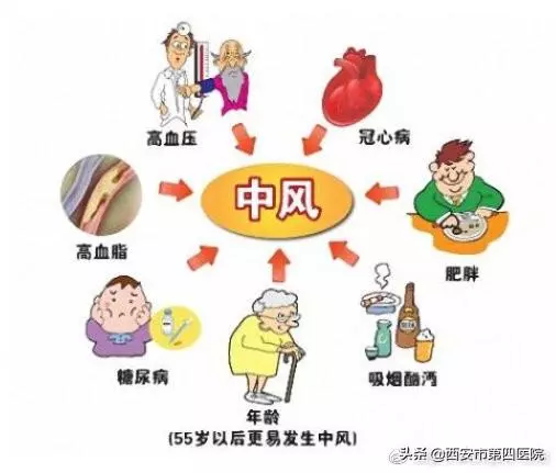 每天踮踮腳跟,養生又瘦身