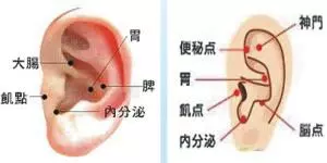 失眠可大可小,醫生建議按摩這2個穴位告別失眠困擾