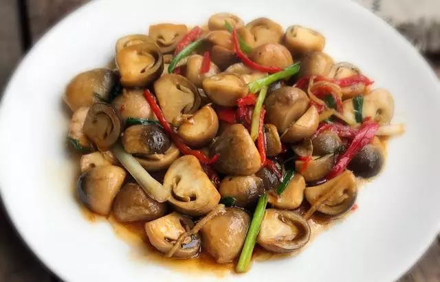 蘑菇怎麼做都好吃,這5種做法超下飯!簡單易學,你吃過嗎?