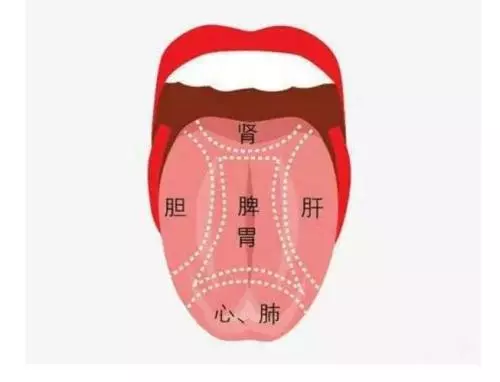舌頭對應五臟健康,沒事咬咬舌頭,排出肝毒,腎臟也變好了,還能預防老年癡呆