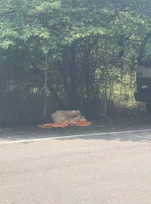 小女躺臥墳墓旁…周圍滿是衛生紙 他怨:路邊用完就丟嗎?