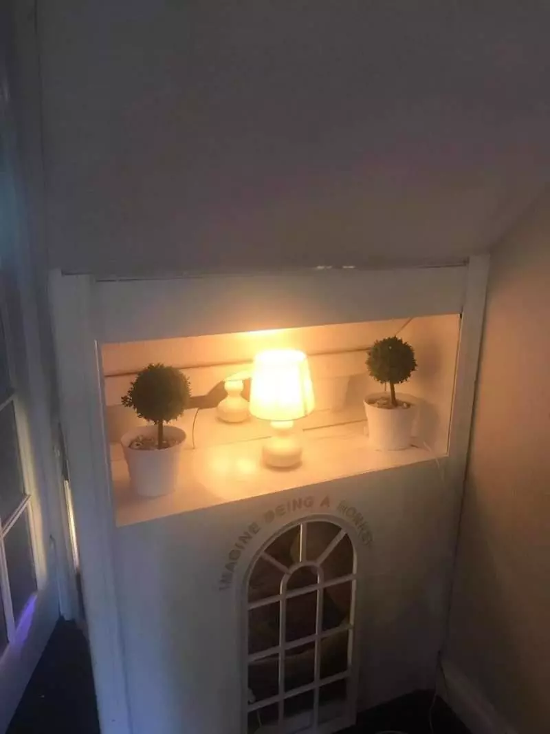 為了克服信任問題飼主動手打造《個人劇院狗屋》成功用愛克服毛孩的恐懼♥