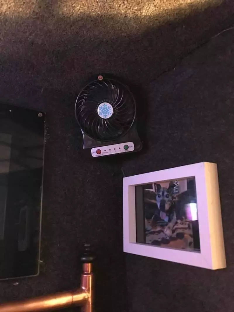 為了克服信任問題飼主動手打造《個人劇院狗屋》成功用愛克服毛孩的恐懼♥