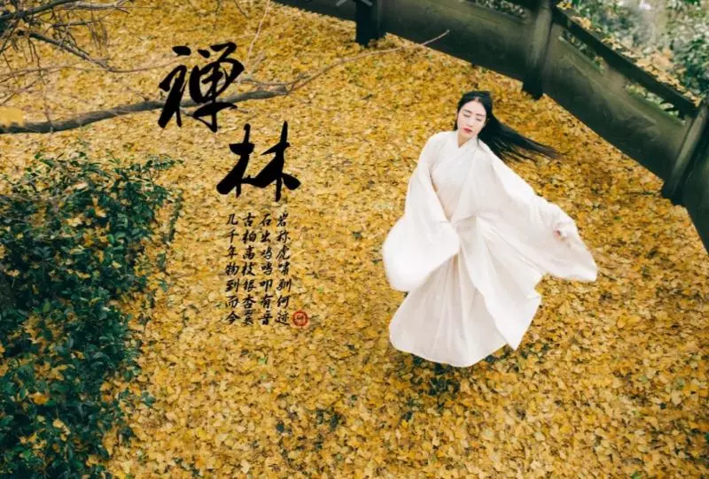 真正聰明的人,不會說這四種話!