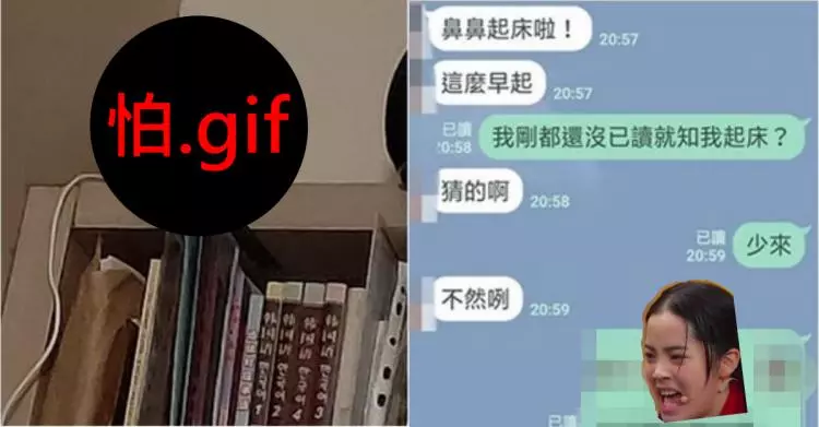 怕!妹子起床關電扇..男友卻突傳訊「有點冷吧?」她抬頭一看嚇壞: 毛到爆炸...