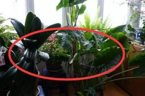 老師傅一看就搖頭:空調對著床,容易變壞風水,趕走財運,敗財又傷身