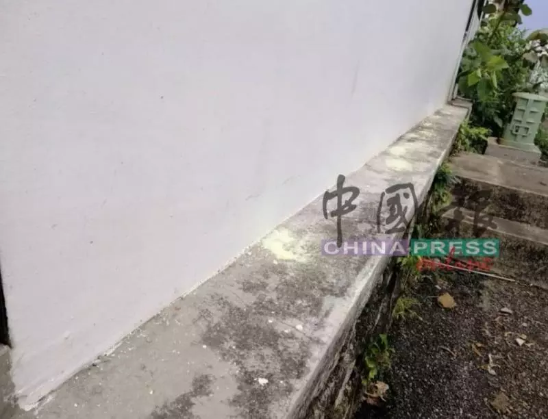 ◤獨家◢ 巨蟒受驚嚇竄逃 民眾提心吊膽