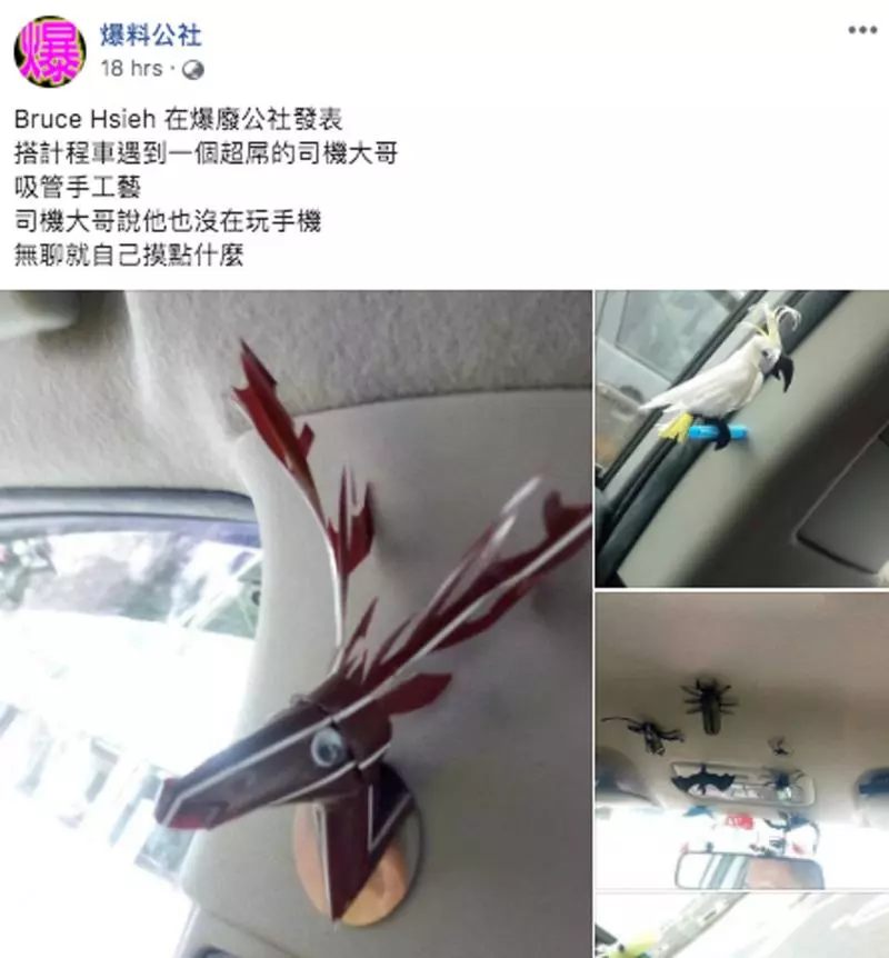 計程車司機秀超強「吸管手工藝」 各種動物都難不倒驚艷網友:大藝術家 - PageCup