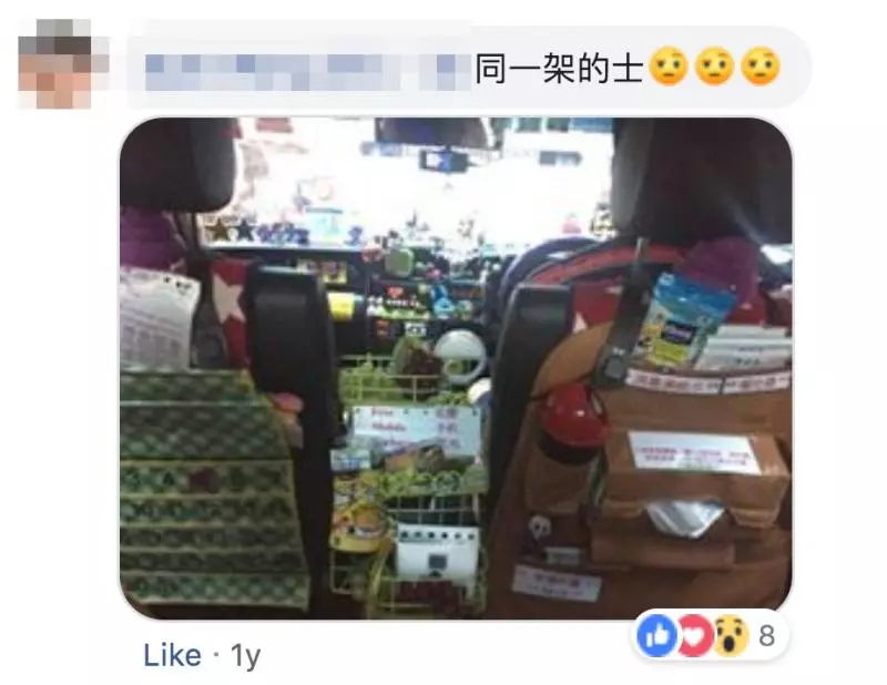 計程車司機秀超強「吸管手工藝」 各種動物都難不倒驚艷網友:大藝術家 - PageCup