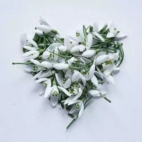 你珍惜我,我會加倍奉還,如果你不在意我,就讓一切歸零!
