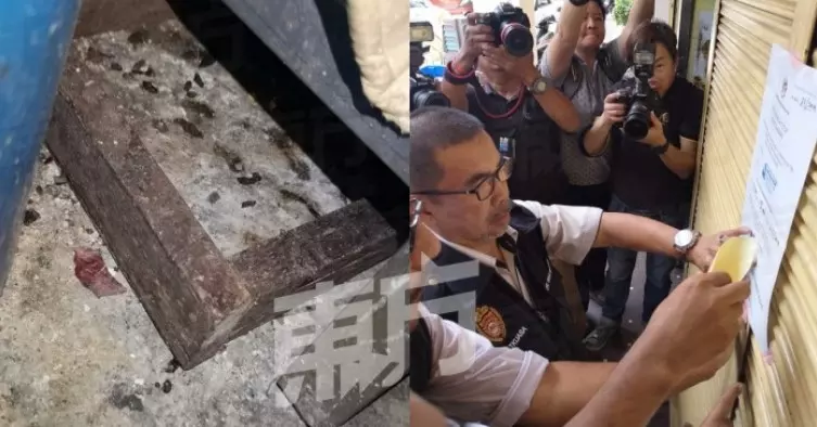 檳城:鴻記竹昇雲吞麵廚房有大量老鼠屎,衛生局下令關店14天