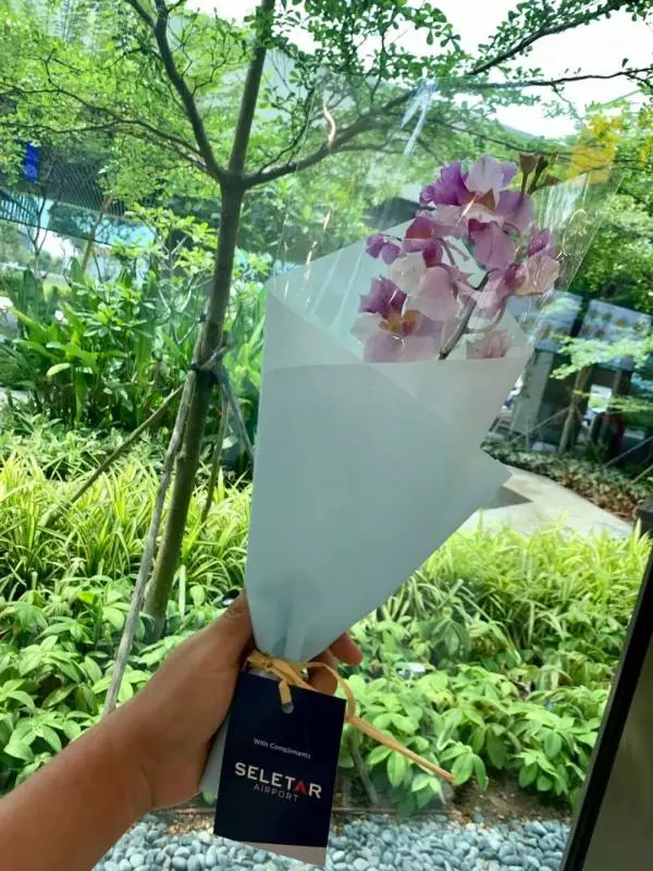 感受新加坡實裡達機場首航,雙機場的新加坡簡直要起飛了!