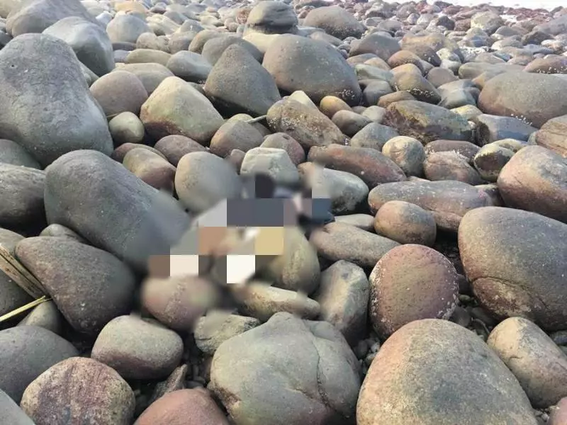 關公托夢 正義哥協獲泰山雙屍案父遺體 警驚:你們怎麼會來