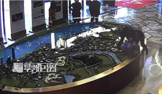 南京女房主效仿奔馳女車主 維權不成反被拘