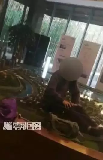 南京女房主效仿奔馳女車主 維權不成反被拘