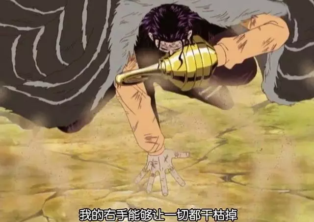 海賊王最擅長開發惡魔果實能力的五個人,所以他們才能這麼強!