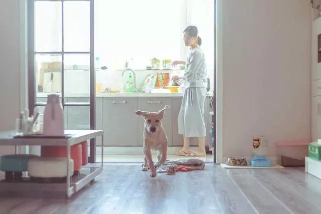 和老公吵架後我賭氣出門,兩個月後上門道歉,我的婚姻走到了盡頭