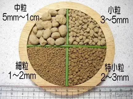 盆景造型基礎:以幹代枝,截幹蓄枝要領手繪分析,扦插技術分享!