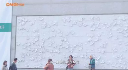 超強韓國攻略來襲,新人必看