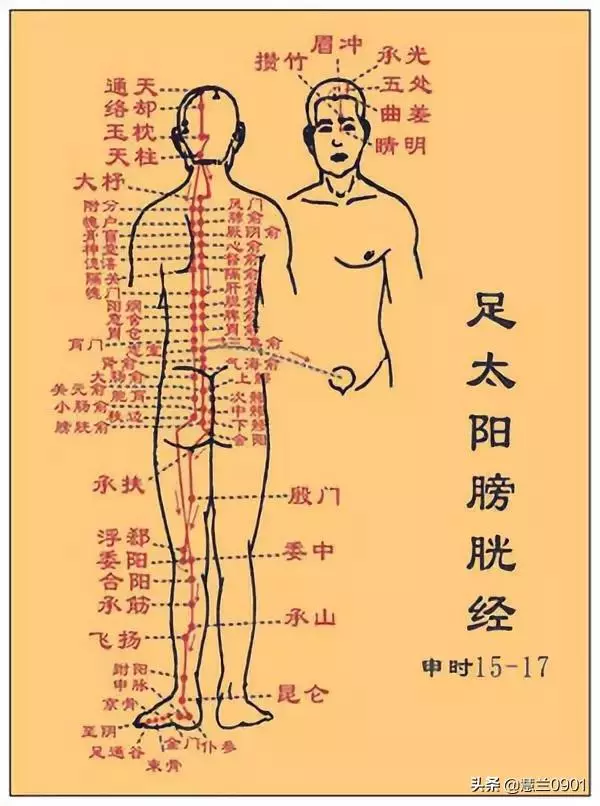 調理頸椎、腰椎酸痛的"夾脊法"