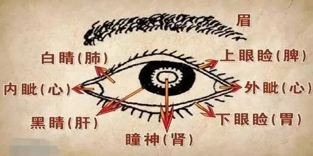 古人快速診斷出「眼疾」,原來是藉助這個寶典!