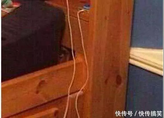 丈夫看到妻子的這張照片後便怒罵:我要跟你離婚!全網友看了3天才驚呼:離婚是正確的選擇!