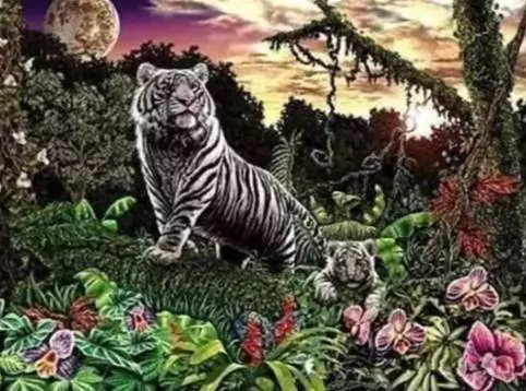 「黑白曲線」藏一隻動物,只有很小部分的人能找到,檢查一下你的眼力吧