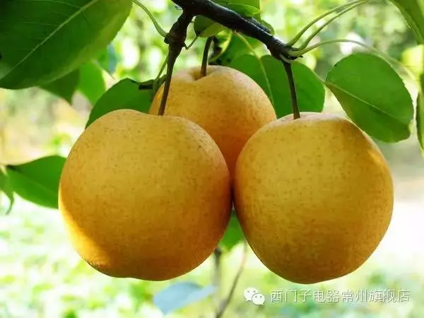 超強大的「抗癌蔬果排行榜」大公開,照著上面吃就對了!