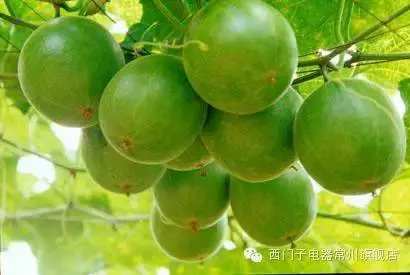 超強大的「抗癌蔬果排行榜」大公開,照著上面吃就對了!