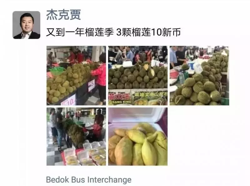 新加坡榴槤季到來,一個才3新幣