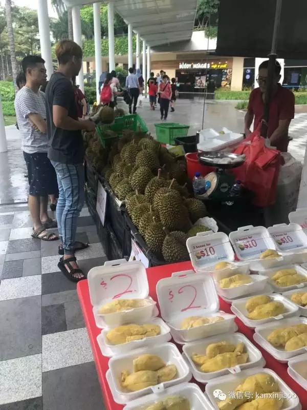 新加坡榴槤季到來,一個才3新幣