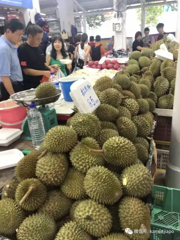 新加坡榴槤季到來,一個才3新幣