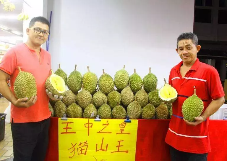 新加坡榴槤季到來,一個才3新幣