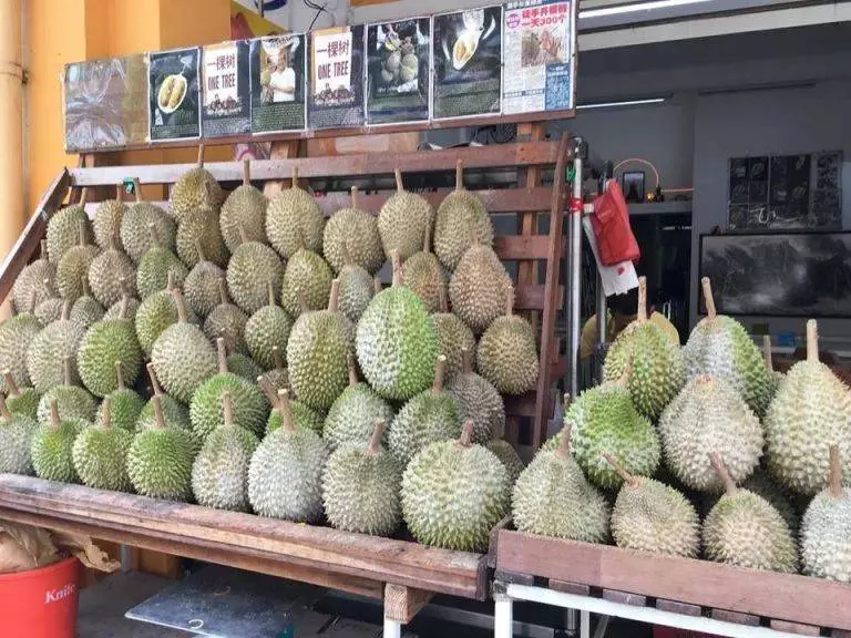 新加坡榴槤季到來,一個才3新幣