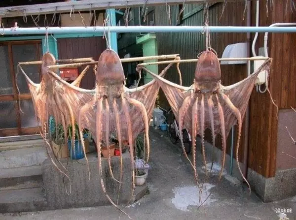 請老公拍網美出浴照變「章魚出水」 人妻崩潰:準備衝去休夫