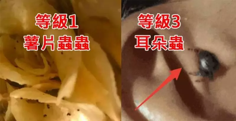 就連最勇敢的人都無法完整看完,這15張超越極限的照片,能挑戰到等級10已經是萬人之上了