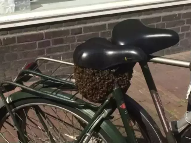就連最勇敢的人都無法完整看完,這15張超越極限的照片,能挑戰到等級10已經是萬人之上了