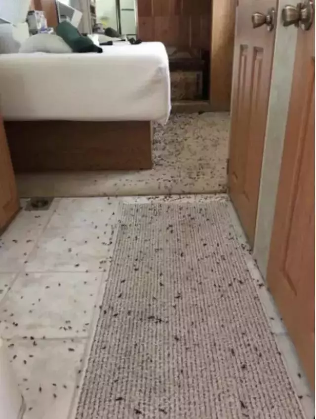 就連最勇敢的人都無法完整看完,這15張超越極限的照片,能挑戰到等級10已經是萬人之上了