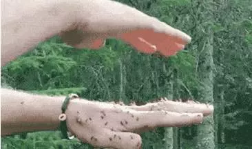 就連最勇敢的人都無法完整看完,這15張超越極限的照片,能挑戰到等級10已經是萬人之上了