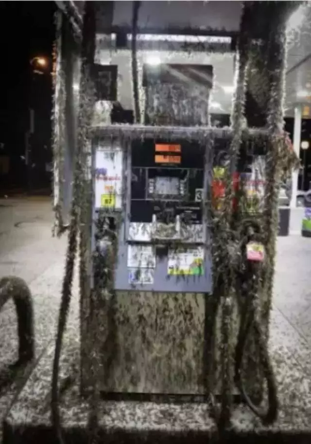 就連最勇敢的人都無法完整看完,這15張超越極限的照片,能挑戰到等級10已經是萬人之上了