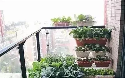 風水禁忌:陽台上有一物,全家不順利!請注意了 !