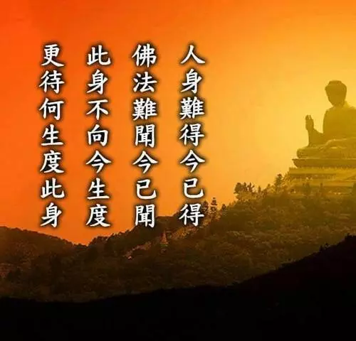 他請老師「到家墓看風水」途中說了一句話 老師眉頭一皺:「你家風水不用看了!」