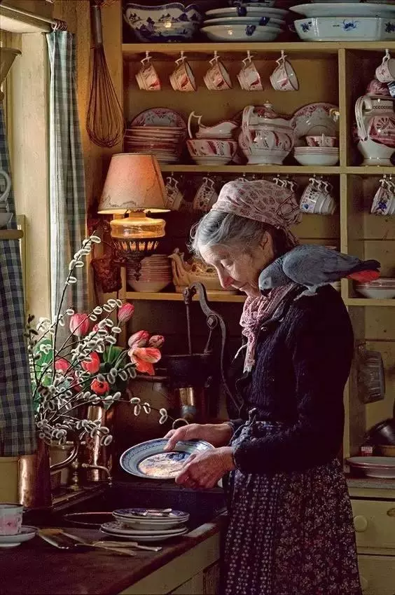 92歲活成仙女模樣!她57歲隱居山林「沒電沒自來水」 荒野生活「卻像美麗油畫」傳授秘訣人人羨
