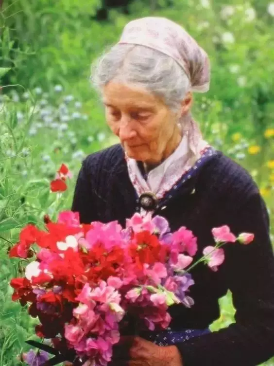 92歲活成仙女模樣!她57歲隱居山林「沒電沒自來水」 荒野生活「卻像美麗油畫」傳授秘訣人人羨