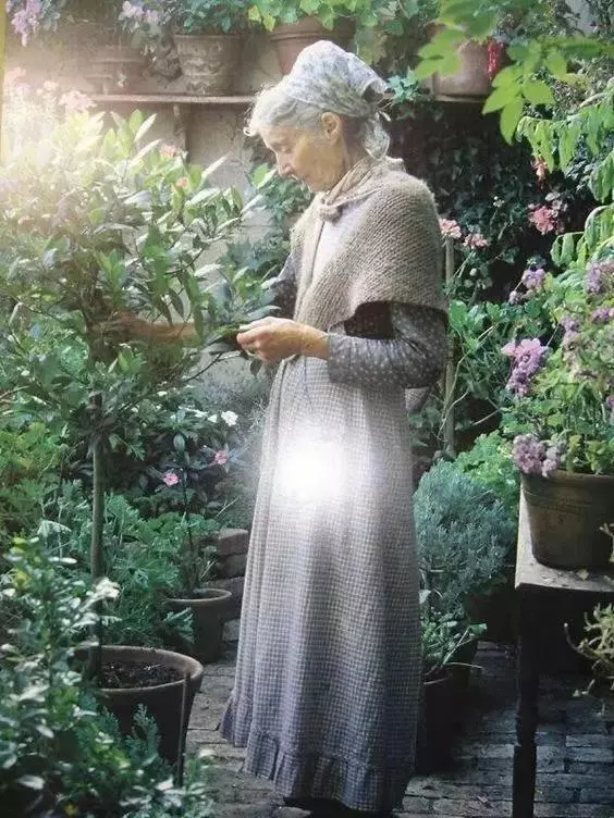 92歲活成仙女模樣!她57歲隱居山林「沒電沒自來水」 荒野生活「卻像美麗油畫」傳授秘訣人人羨