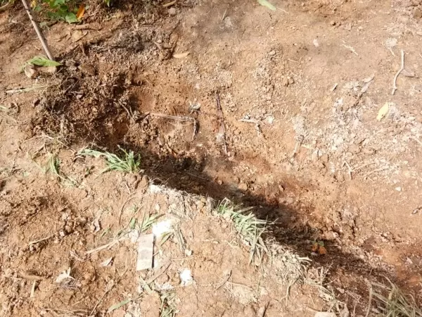 空地泥土遭挖掘 揭發埋男屍事件 | 東方網 | 馬來西亞東方日報