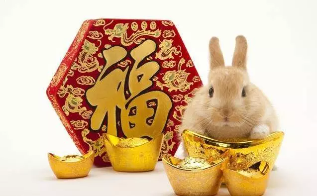 家中有這六個生肖,黴運不進家,好事不出門,2019年上上吉