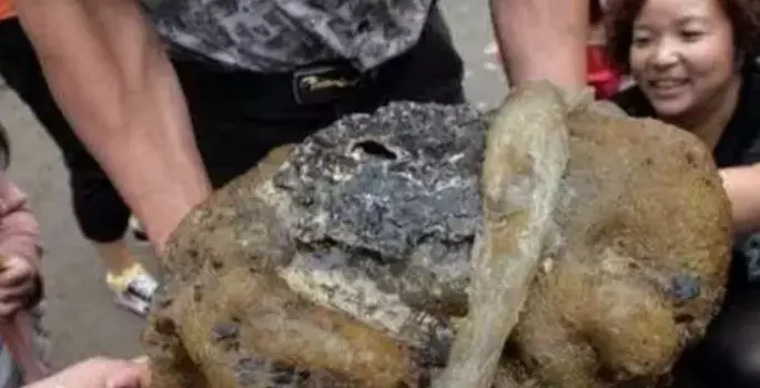 小夥自掏腰包為老人打井,怎料第一桶就撈上來個怪東西,老人看後大笑:小夥好福氣