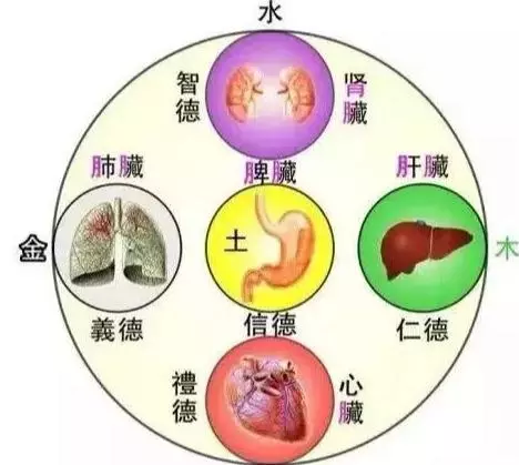 一切治不好的病,都是經絡被「掐斷」的結果!祖宗之言,言之有理