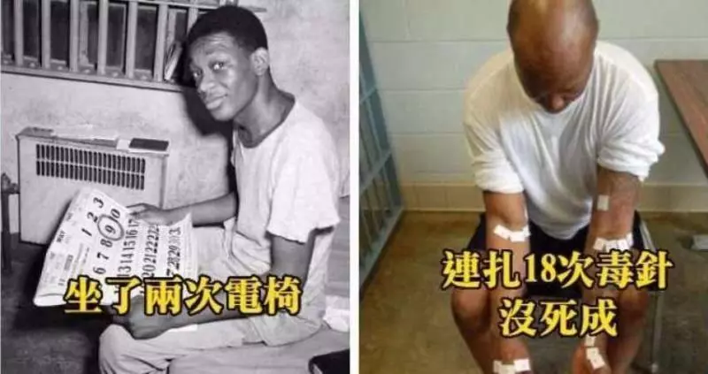 8個因為出槌因而無法痛快見上帝的地獄倒楣鬼死囚~~~~